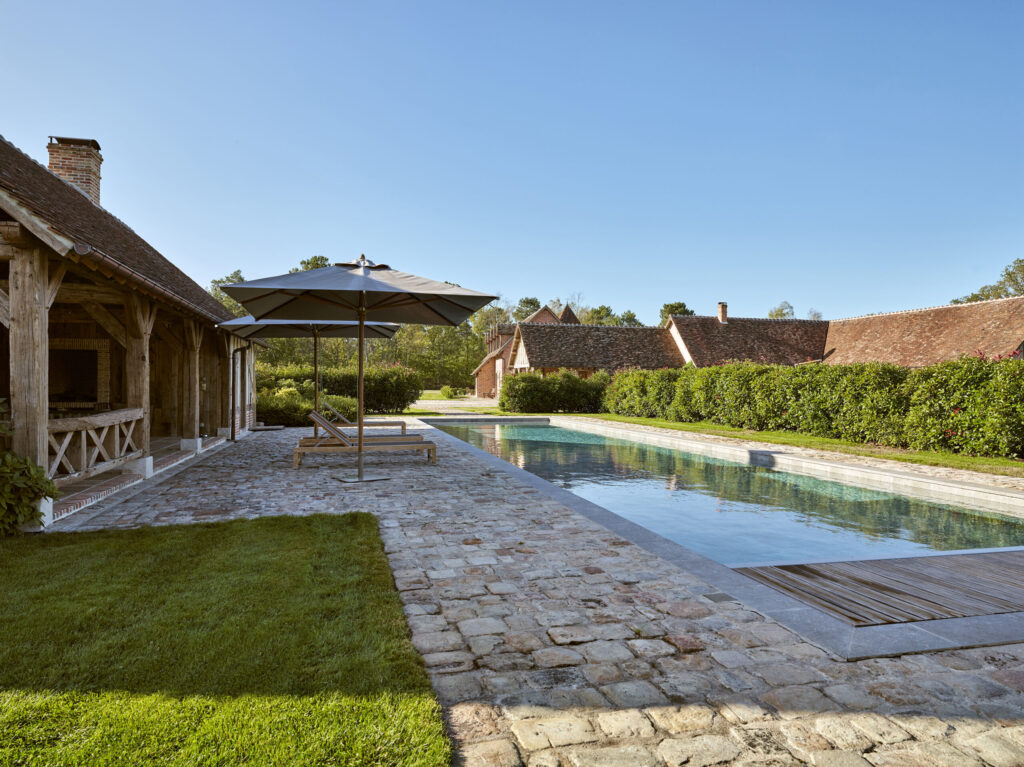 cat_couloir_nage_or_carre_bleu_lubin